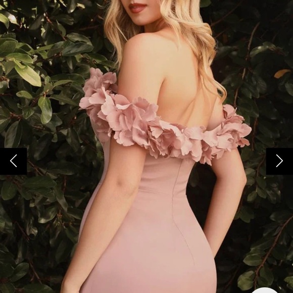 Formal dress - Picture 2 of 3